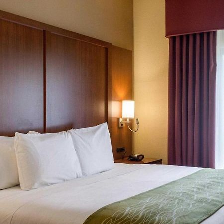 Comfort Suites Starkville Eksteriør billede