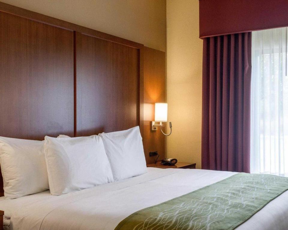 Comfort Suites Starkville Eksteriør billede
