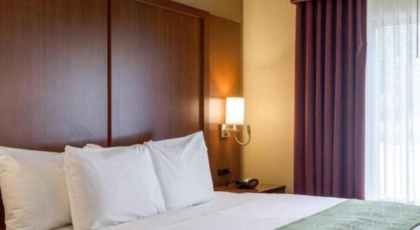Comfort Suites Starkville Eksteriør billede